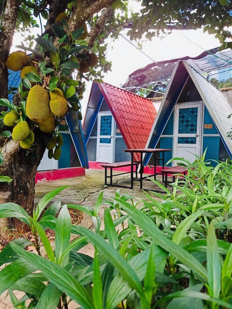 Mộc Homestay Moc Chau Ngoại thất bức ảnh