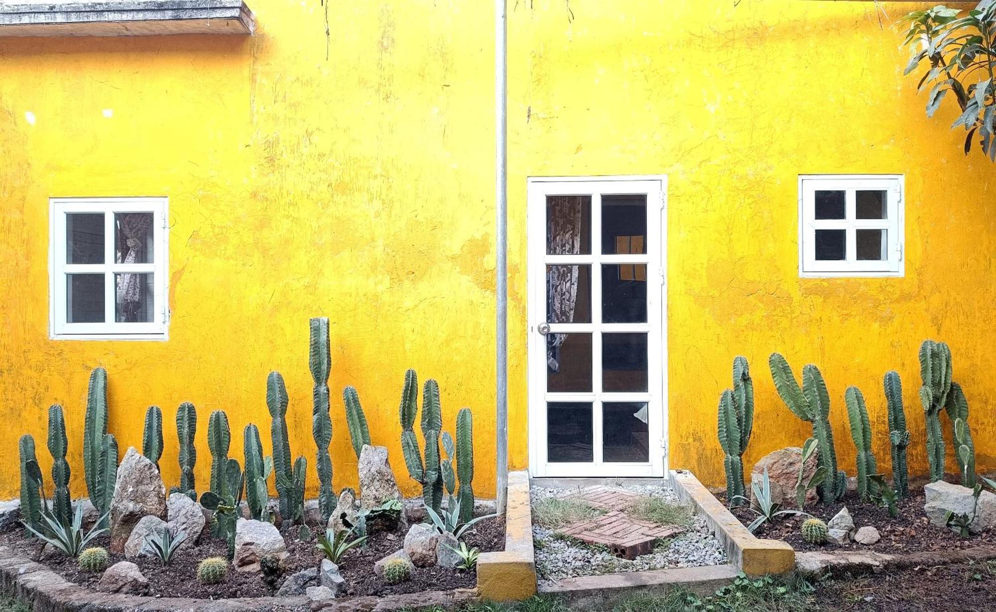 Mộc Homestay Moc Chau Ngoại thất bức ảnh